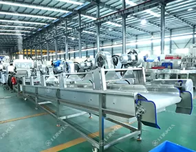 Pre-Cut Vegetable Processing Line