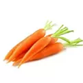 Carrot