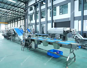 Salad Processing Line