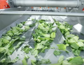 Salad Washing Machine