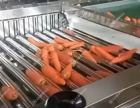 Carrot Tomato Grading Machine