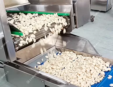 Industrial Garlic Peeling Machine