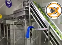 Frozen Vegetable Processing Line