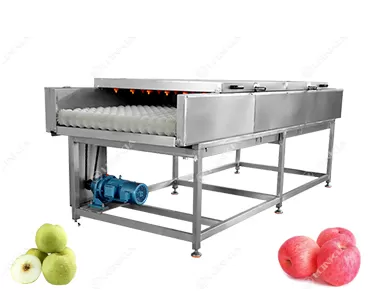 Tomato Carrot Cleaning Machine