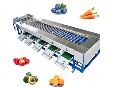 Carrot Tomato Grading Machine