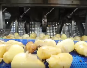 Potato Tomato Steam Peeling Machine