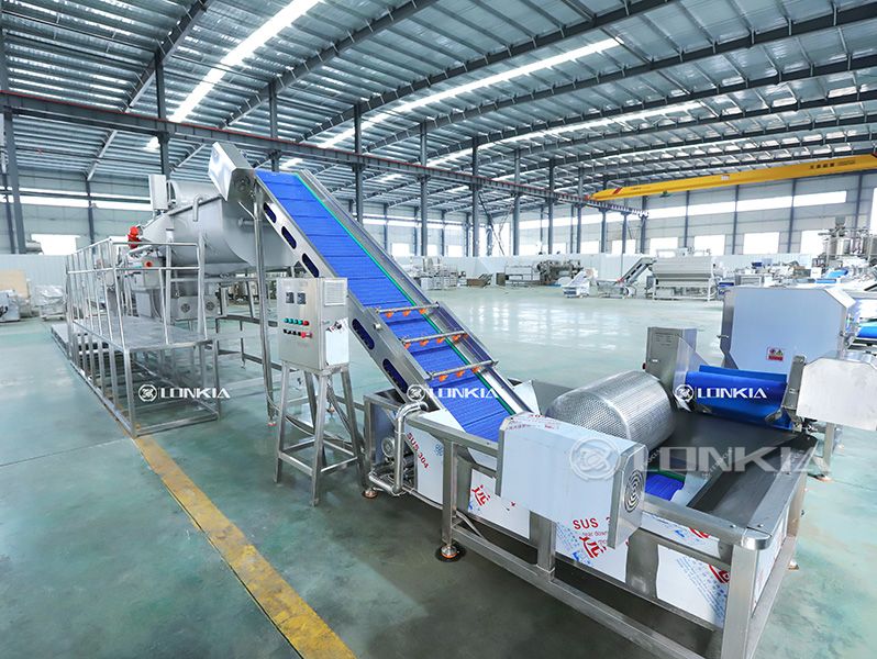 Vegetable Salad Processing Line Factory