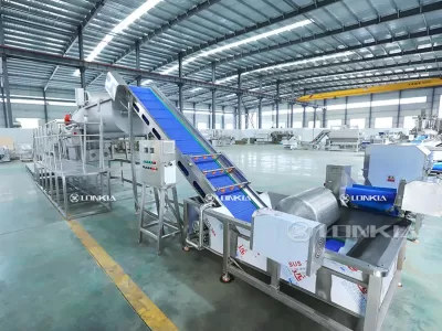 Why Investing in Leafy Vegetable Processing Machine Is Worthwhile?