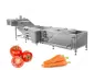 Tomato Blanching Machine