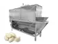 Industrial Garlic Peeling Machine