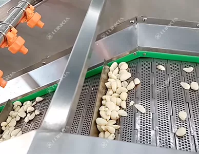 Industrial Garlic Peeling Machine