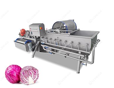 Salad Washing Machine