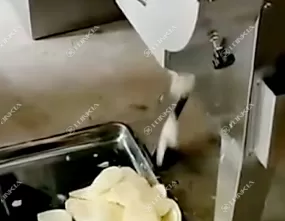 Root Vegetable Cutting Machine