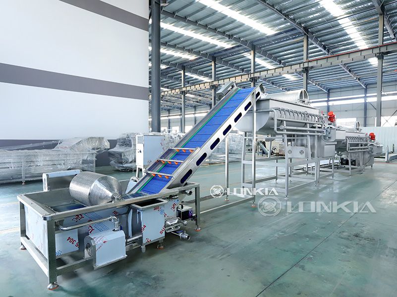 Automatic Salad Processing Equipment