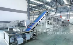 Why Investing in Leafy Vegetable Processing Machine Is Worthwhile?