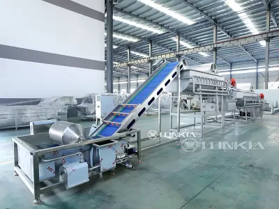 Why Investing in Leafy Vegetable Processing Machine Is Worthwhile?