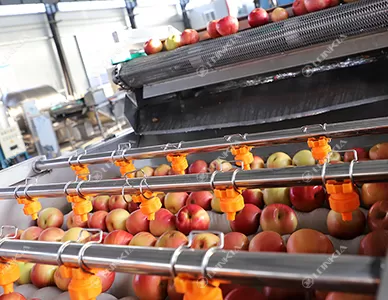 Tomato Carrot Cleaning Machine