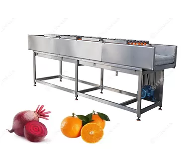 Tomato Carrot Cleaning Machine