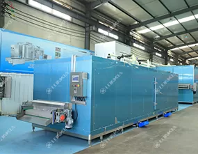 Frozen Vegetable Processing Line