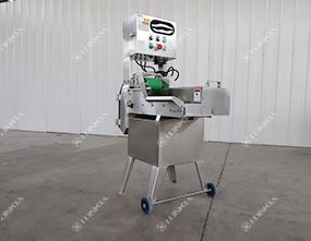 Leafy Vegetable Cutting Machine