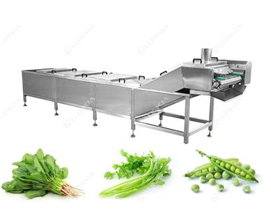 Tomato Blanching Machine