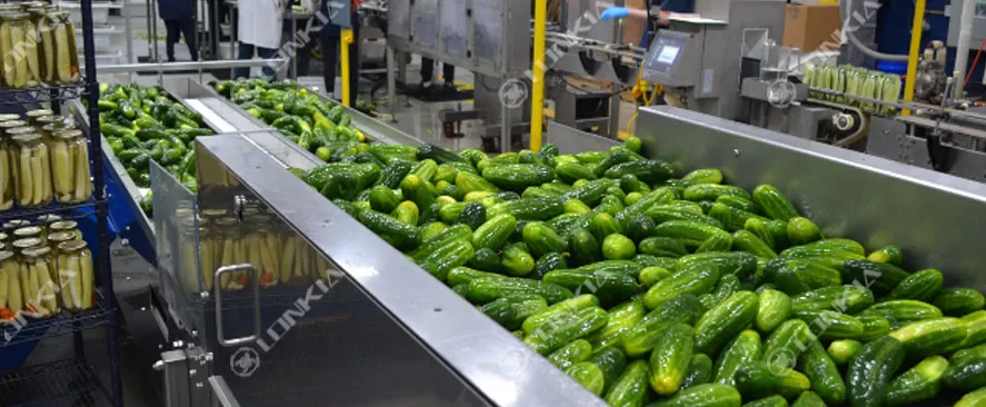 Cucumber Canning Processing Line Flow Chart