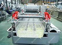 Salad Processing Line