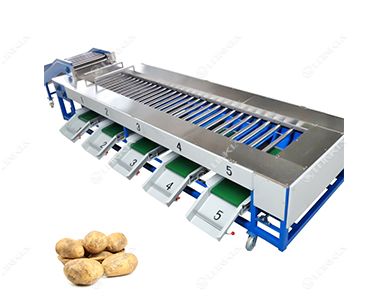 Carrot Tomato Grading Machine