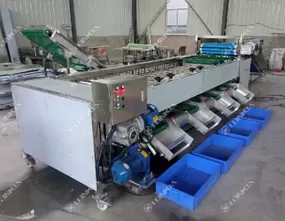 Carrot Tomato Grading Machine