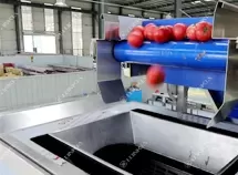 Tomato Dicing Processing Line