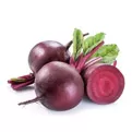 Beet