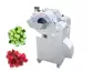 Vegetable Dicing Machine