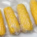 Fresh Corn