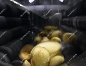 Potato Ginger Carrot Peeling Machine