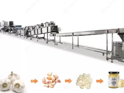 Garlic Peeling Machine Commercial: Boosting Efficiency in Garlic Processing