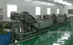 Industrial Vegetable Washing Machines: Why They Are Essential for Large-Scale Processing