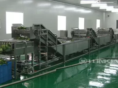 Industrial Vegetable Washing Machines: Why They Are Essential for Large-Scale Processing