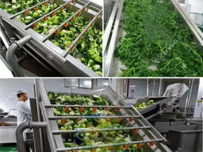 How a Blanching Machine Enhances Food Quality and Shelf Life