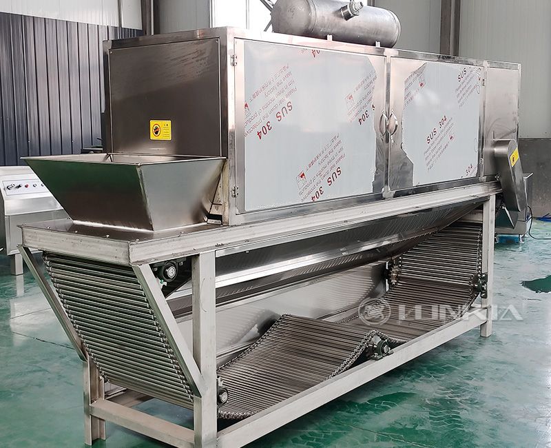 garlic peeling machine price