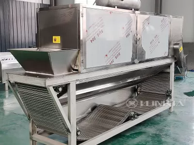 Main Factors Affecting Garlic Peeling Machine Price