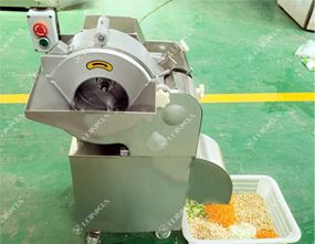 Vegetable Dicing Machine