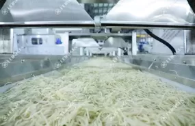 Pre-Cut Vegetable Processing Line