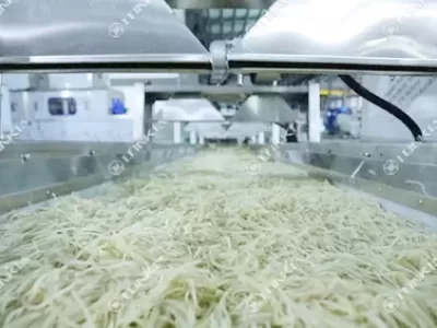 Pre-Cut Vegetable Processing Line