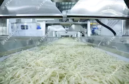 Pre-Cut Vegetable Processing Line