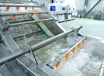 Pre-Cut Vegetable Processing Line