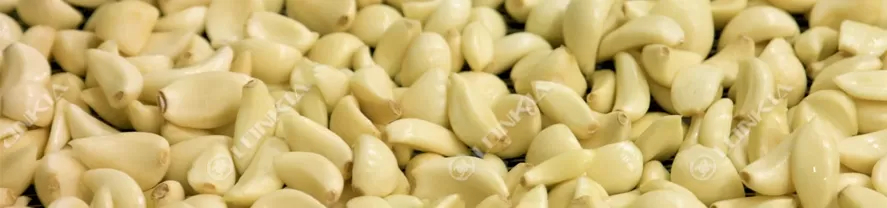 Garlic Peeling Machine Material