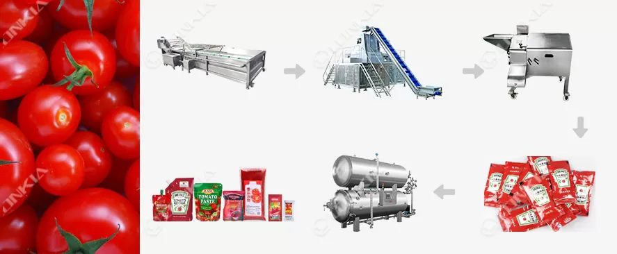 Tomato Dicing Processing Line Flow Chart