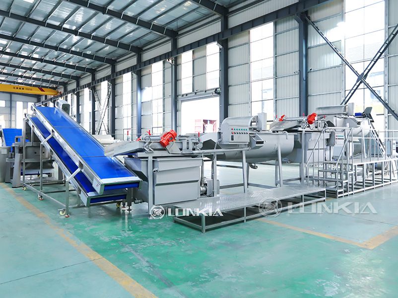 Leaf Vegetable Processing Line in Plant