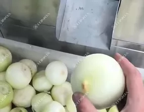 Onion Peeling Machine