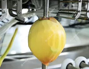 Mango Peeler Machine